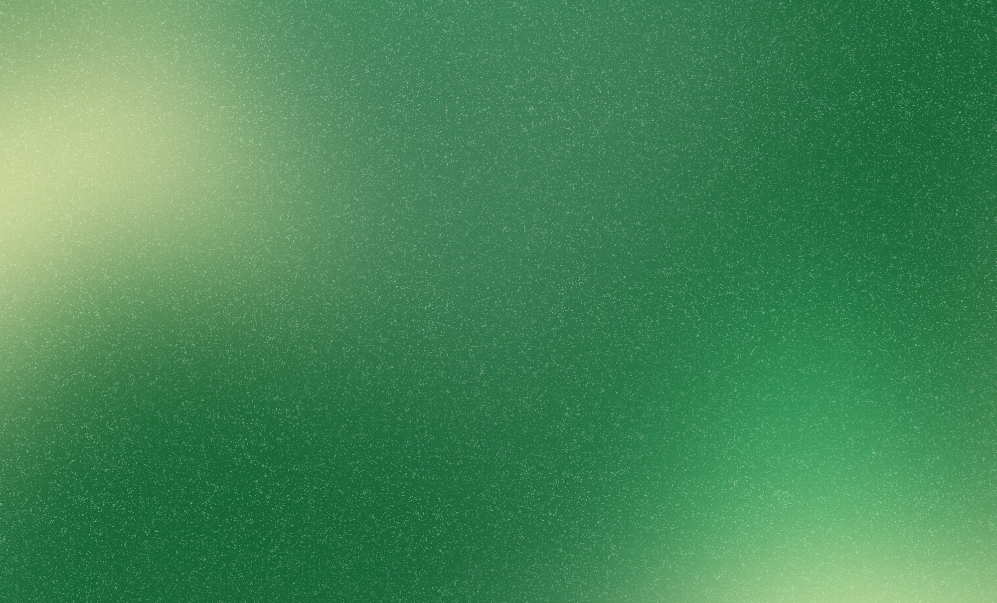 Professional lawn care equipment and landscaping services in Central Florida